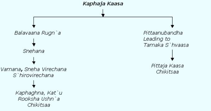 Kaasa – Ayusoft